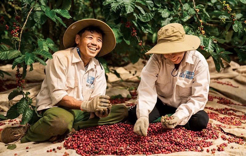 Kinh doanh nông sản – thương mại cà phê