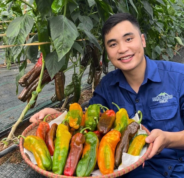 Kinh doanh thời đại số: Bán chục tấn nông sản chỉ sau vài giờ