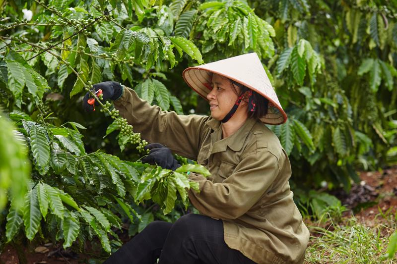 Đến năm 2030, dự kiến xuất khẩu nông sản đạt hơn 26 tỷ USD