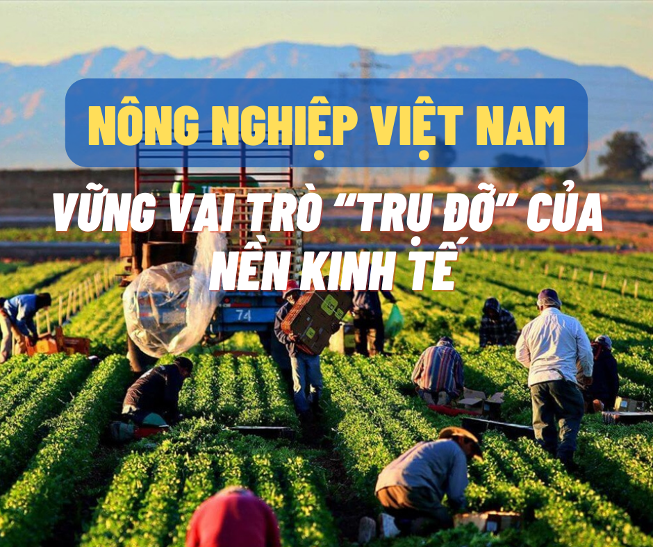 Thủ tướng: Nông nghiệp chớp thời cơ từ thị trường Trung Quốc rất nhanh