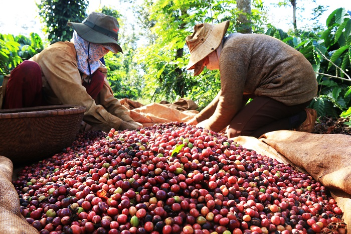 Xuất khẩu tăng mạnh nhờ nông sản và công nghiệp chế biến