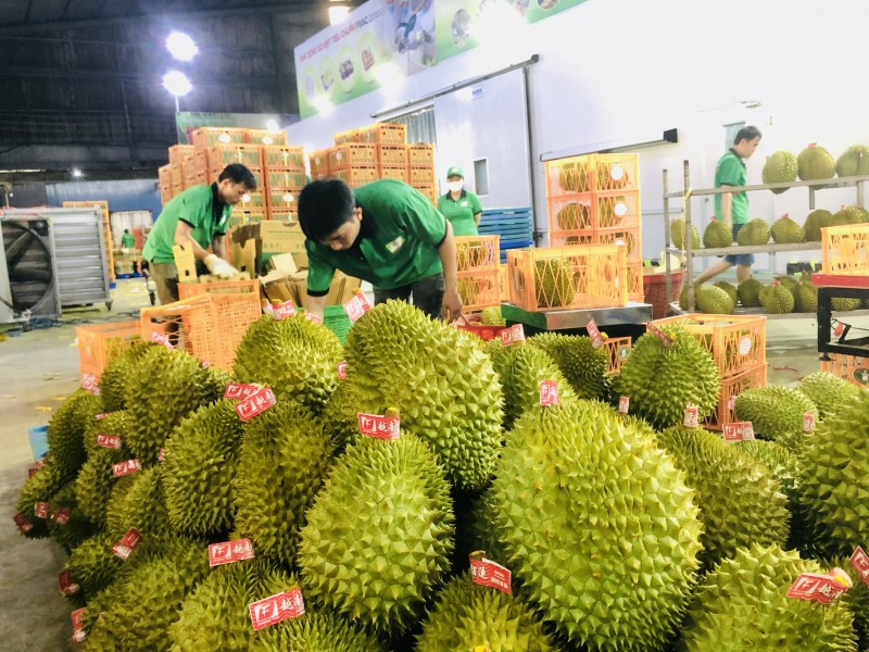 Đẩy mạnh xuất khẩu vào thị trường Trung Quốc