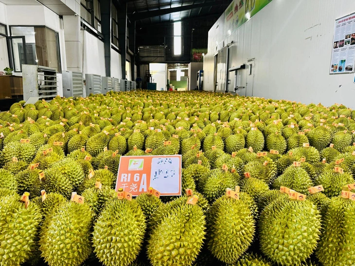 Các nước đua nhau mua nông sản Việt, giá xuất khẩu gạo, cà phê, tiêu cao chót vót